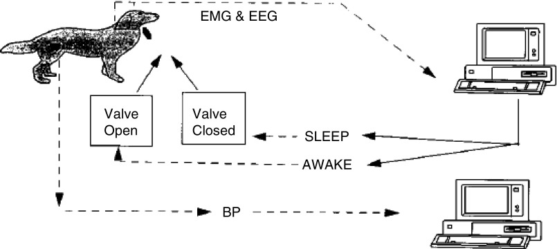 Figure 2.