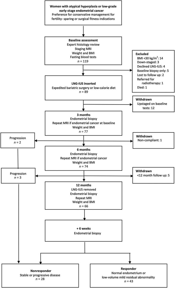 Figure 1. Study flow chart.