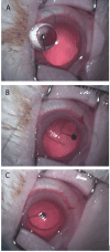 Figure 3.
