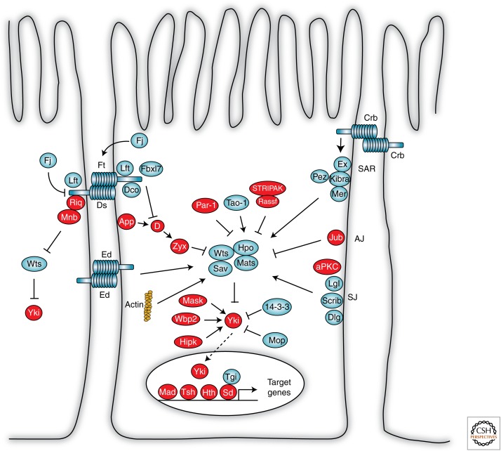 Figure 2.