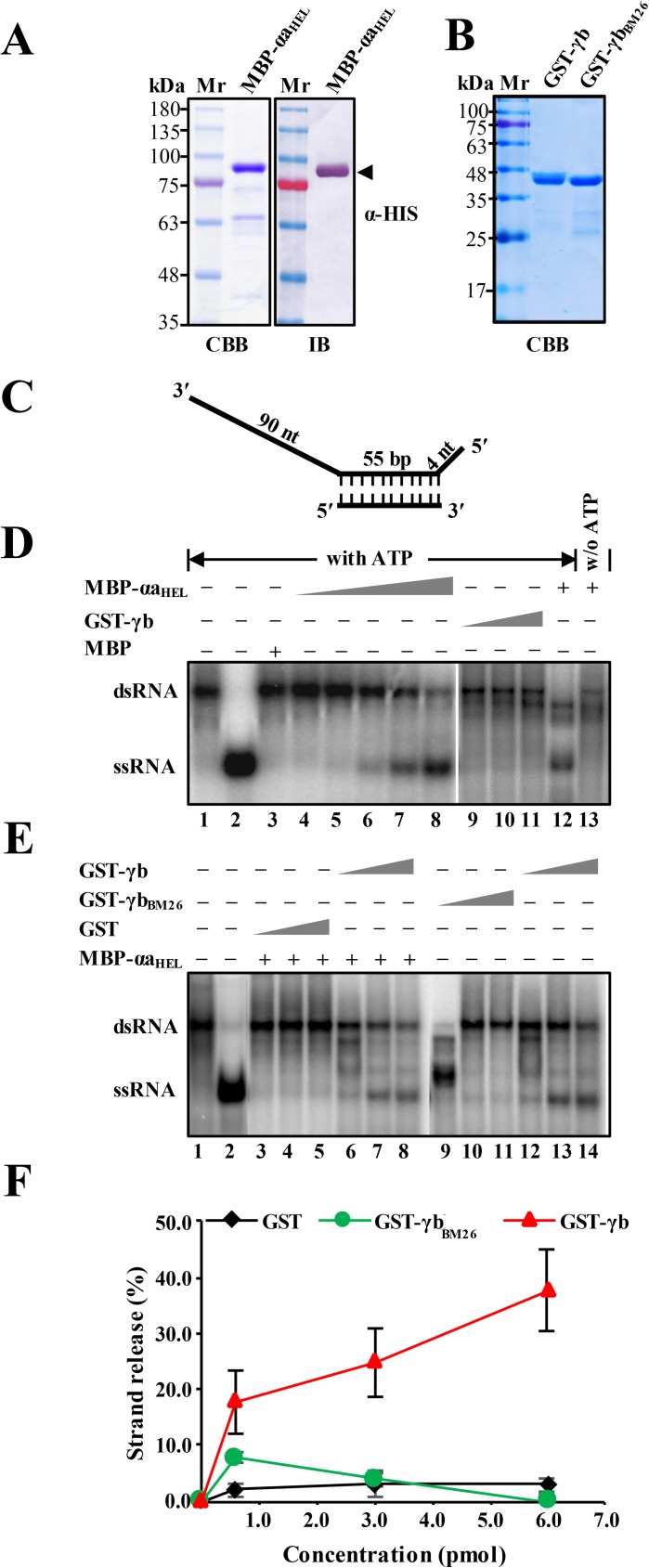 Fig 7