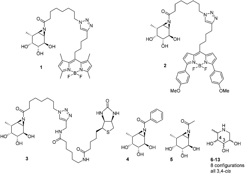 Fig. 2