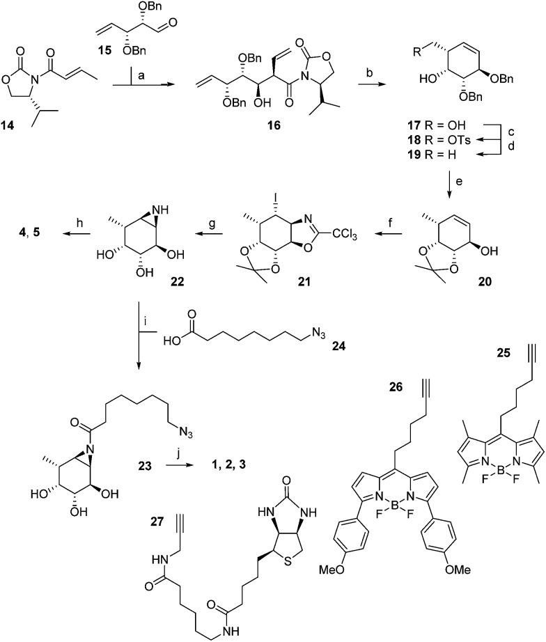 Scheme 1