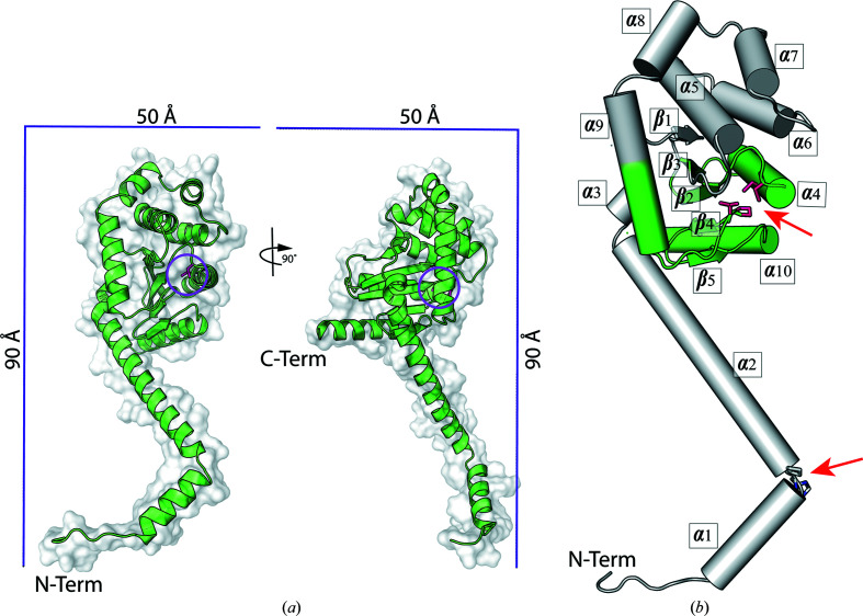 Figure 6