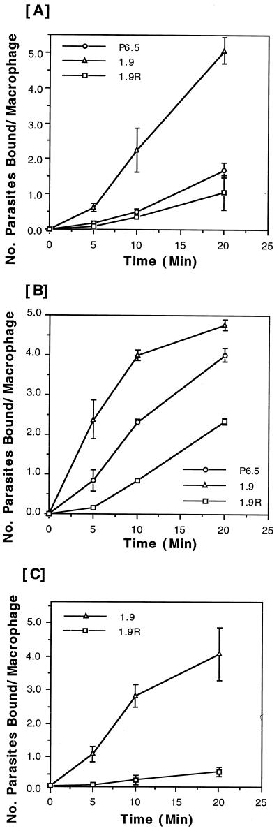 FIG. 6