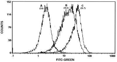 FIG. 5