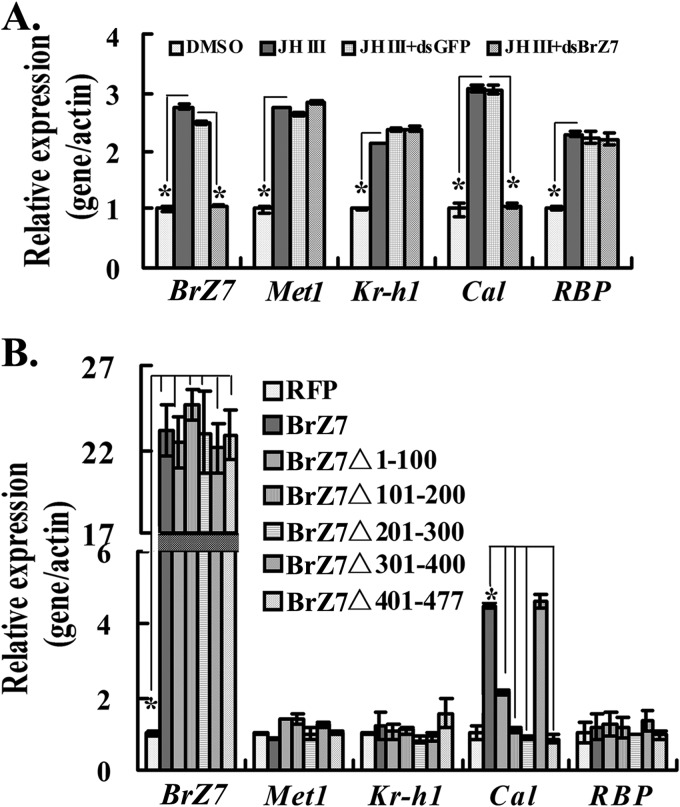 FIGURE 7.