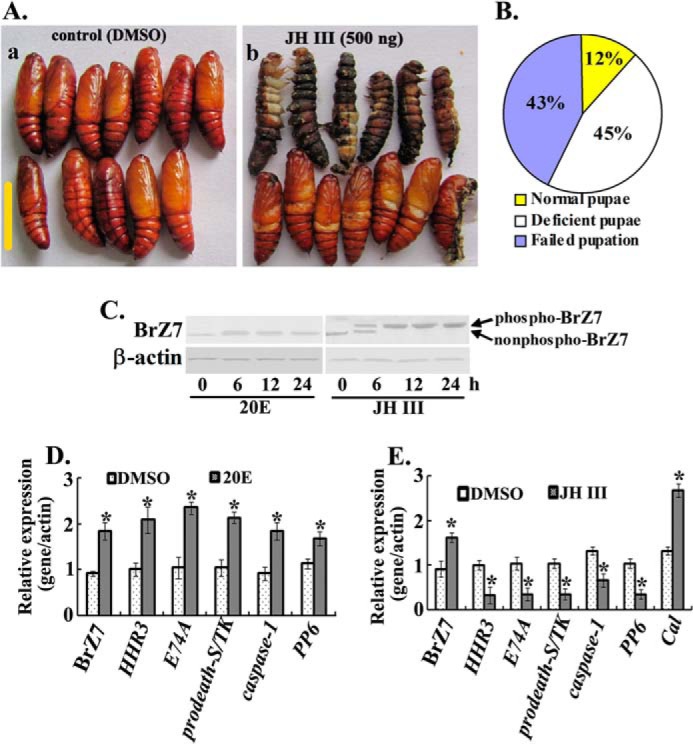 FIGURE 10.