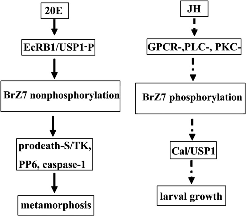 FIGURE 12.