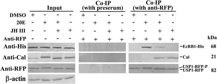 FIGURE 11.