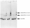 FIG. 7