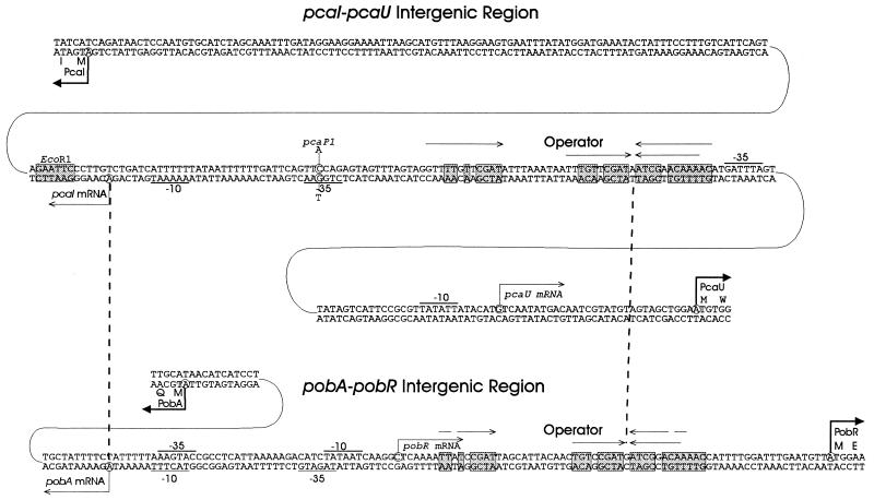 FIG. 11