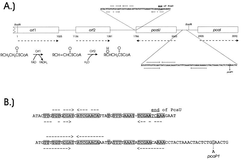 FIG. 5