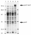 FIG. 6