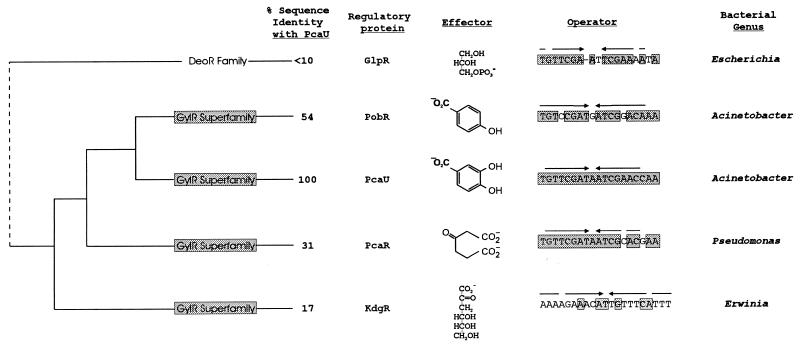 FIG. 12