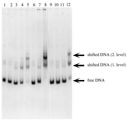 FIG. 7