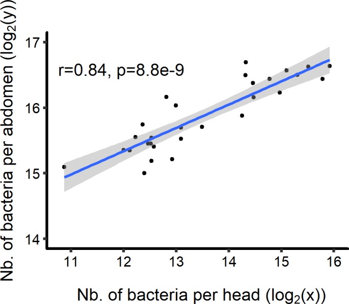 Figure 7—figure supplement 1.