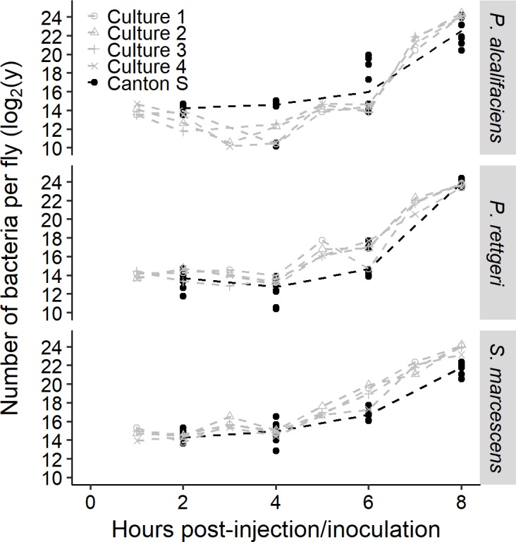 Figure 3—figure supplement 1.