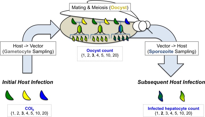 Fig 3