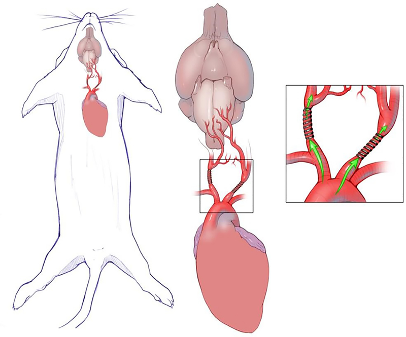 Figure 1: