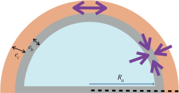 Figure 13.