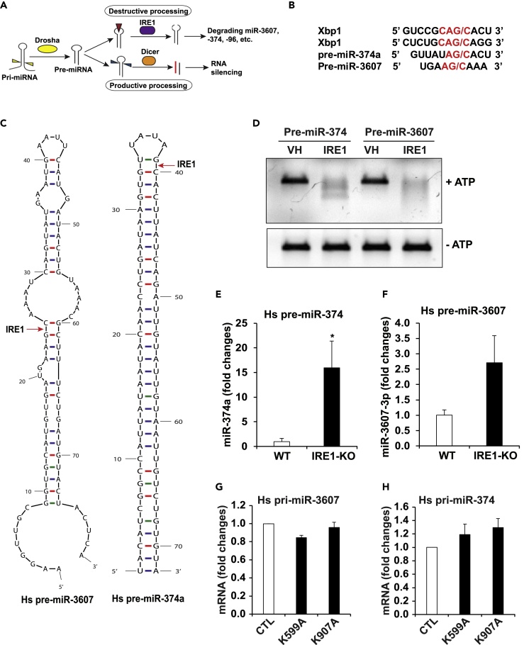 Figure 4