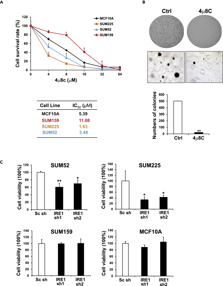 Figure 6