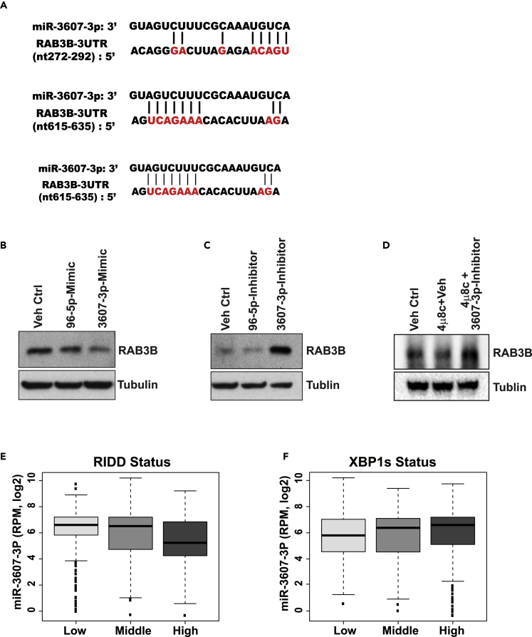 Figure 5