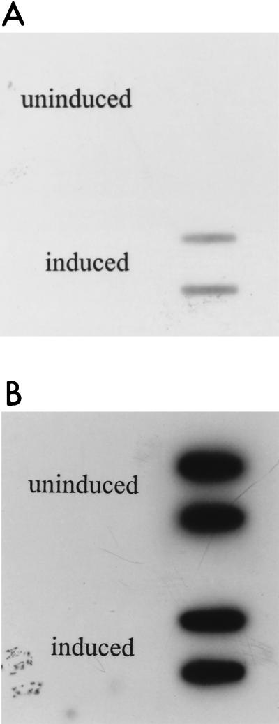 FIG. 9