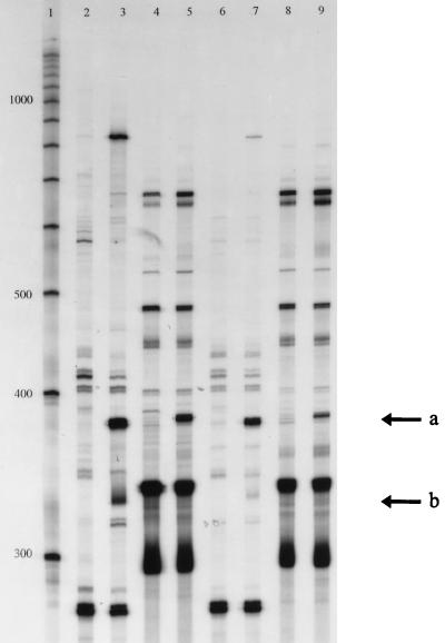 FIG. 8