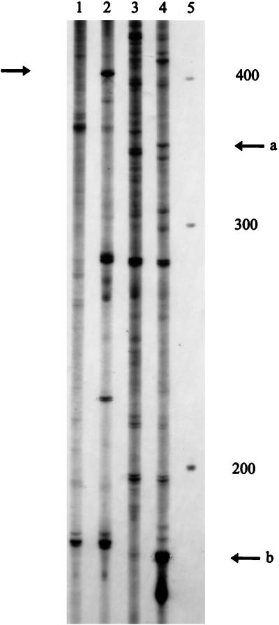FIG. 5