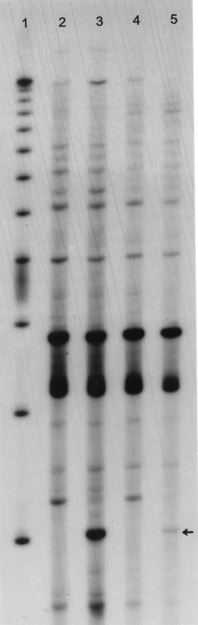 FIG. 10
