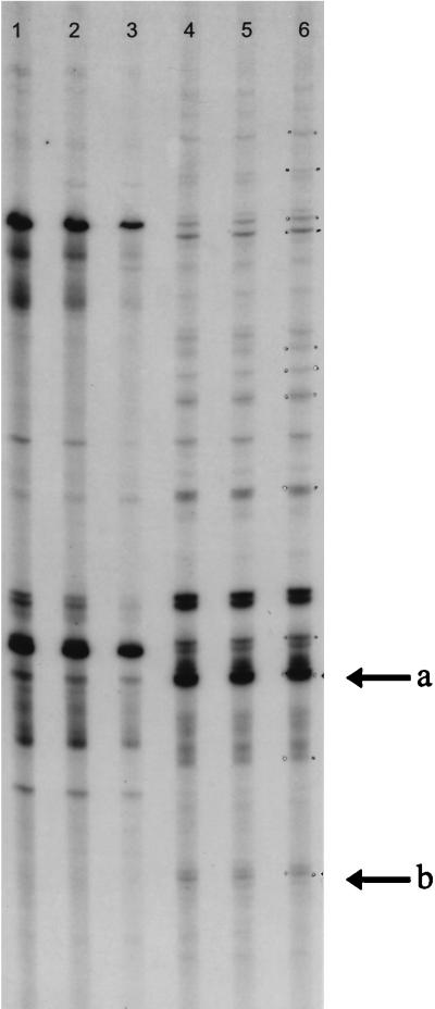 FIG. 11