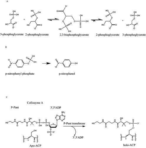 FIG. 7.