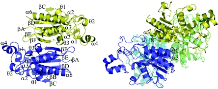 FIG. 2.