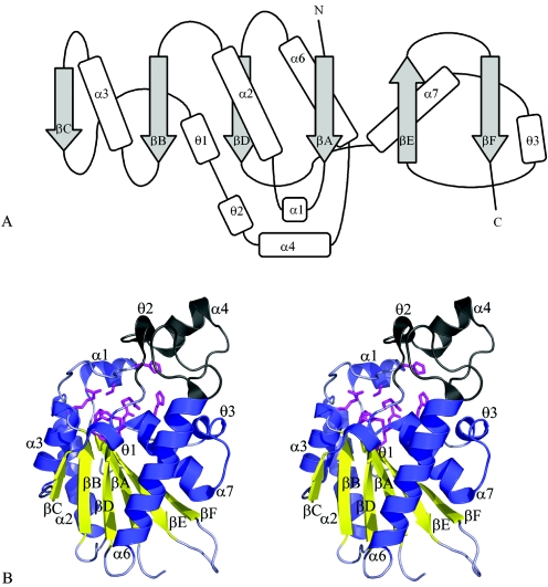 FIG. 1.