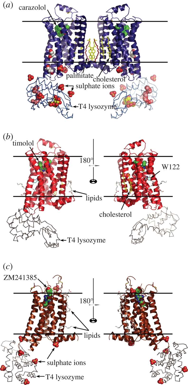 Figure 7.