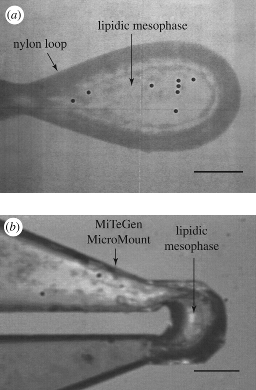 Figure 4.