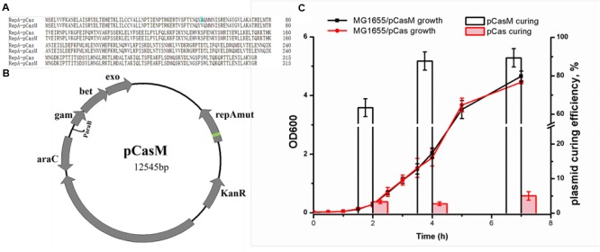 FIGURE 2