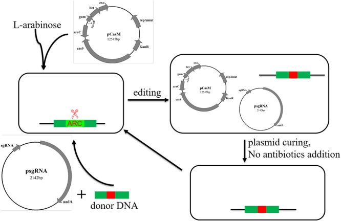 FIGURE 5