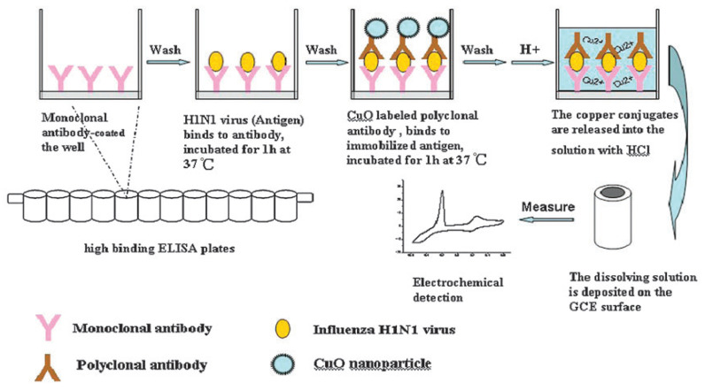 Figure 20