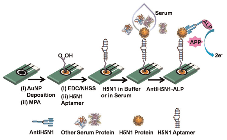 Figure 24