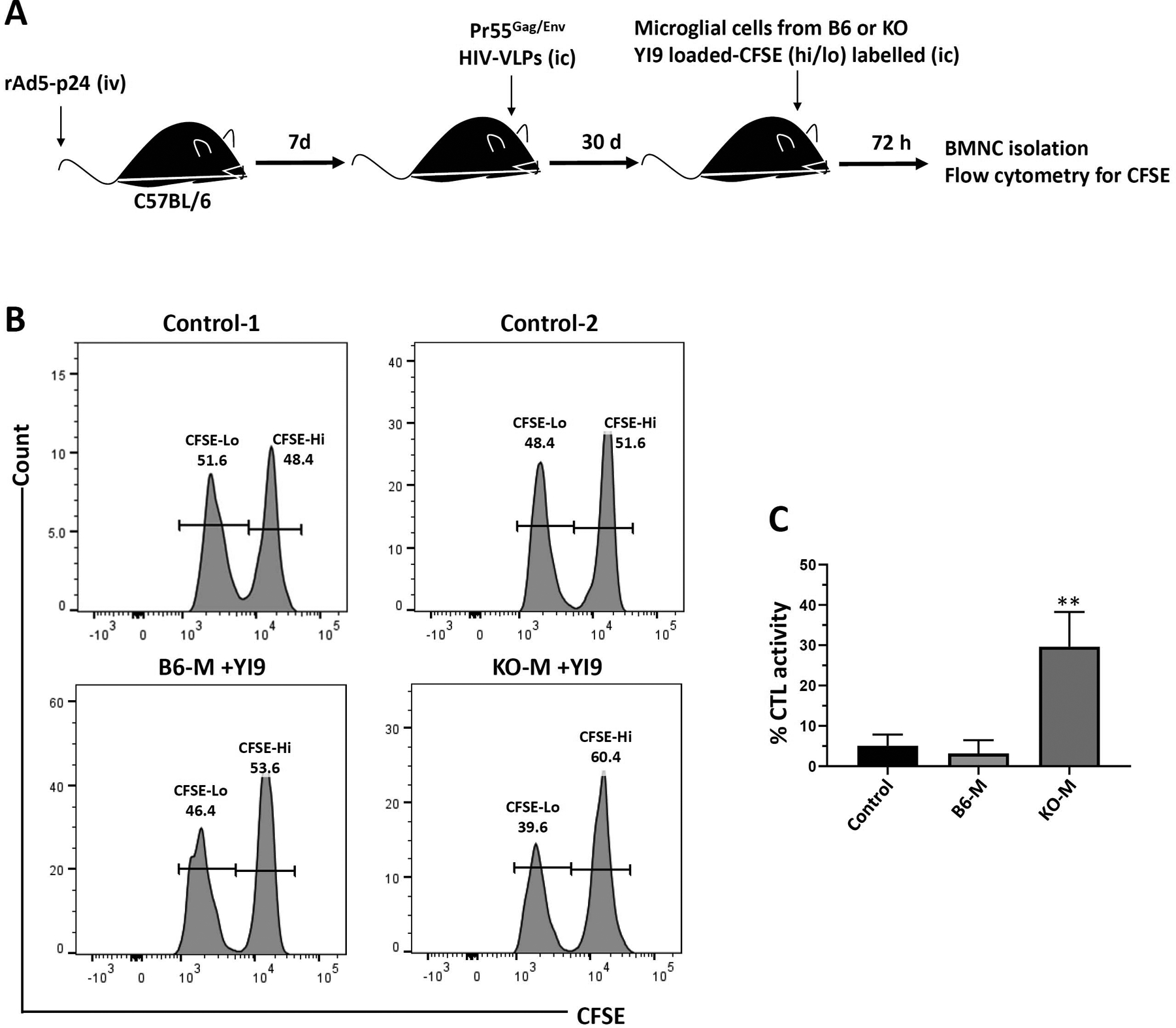 FIGURE 4