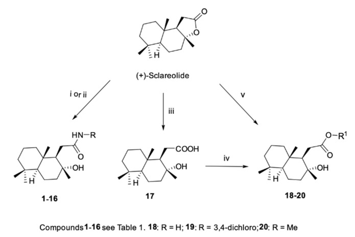 Scheme 1