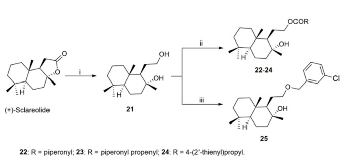 Scheme 2