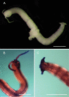 Figure 24.