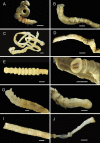 Figure 14.