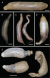 Figure 35.