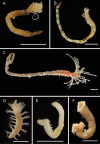 Figure 26.