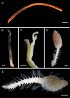 Figure 27.